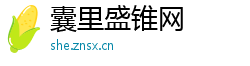 囊里盛锥网